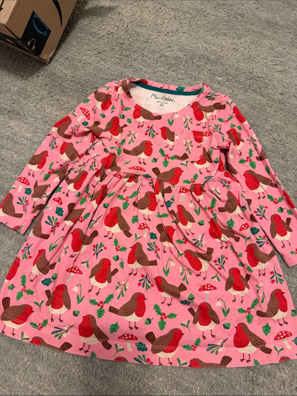Mini Boden Pink Dress with Red Robin Print